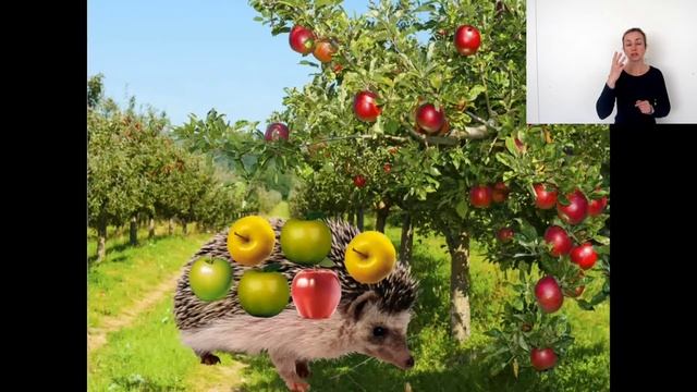 Задача для 1 класу про їжачка смотреть онлайн