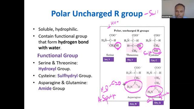 Amino acid 1 смотреть онлайн
