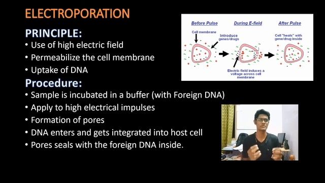 Electroporation | Direct DNA Transfer | Genetic Engineering | Tamil | ThiNK VISION | tnkumaresan смотреть онлайн