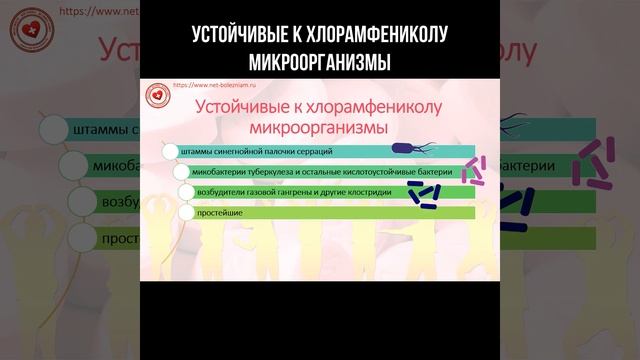 Устойчивые к хлорамфениколу микроорганизмы #хлорамфеникол #бактерии #инфекции #левомицетин смотреть онлайн