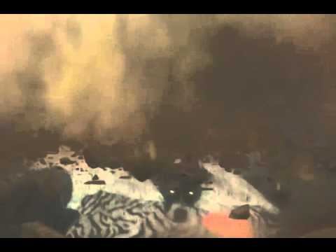 °FX Files° Jerdiggity®TV(37)