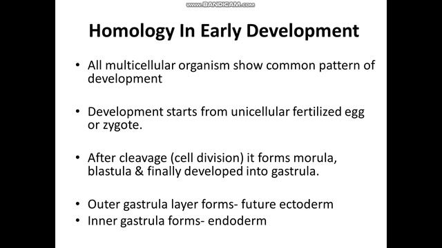EMBRYOLOGICAL EVIDENCES OF EVOLUTION PART 1 смотреть онлайн