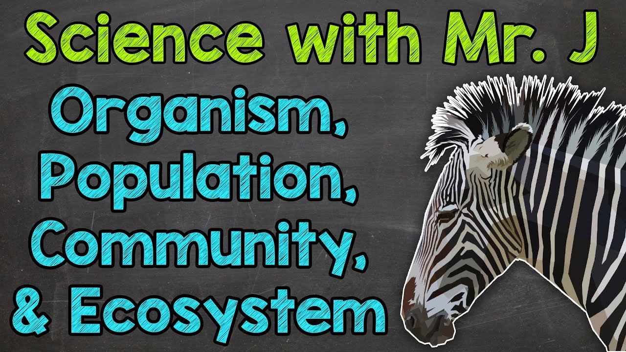 Organism, Population, Community, and Ecosystem | Levels of Ecology | Ecosystems смотреть онлайн