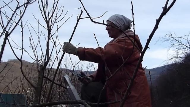 Обрезка плодовых деревьев / Встречаем весну // Жизнь в деревне смотреть онлайн