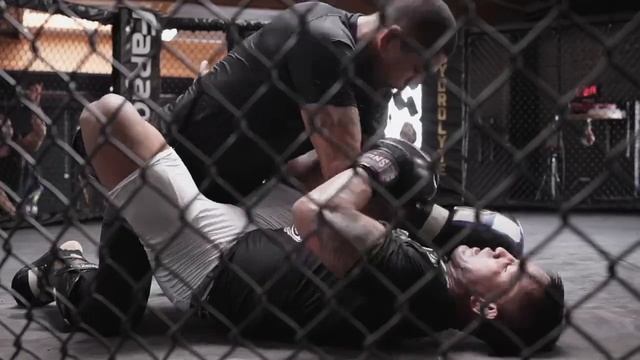 CBD Post Workout Recovery with Alex Pereira смотреть онлайн