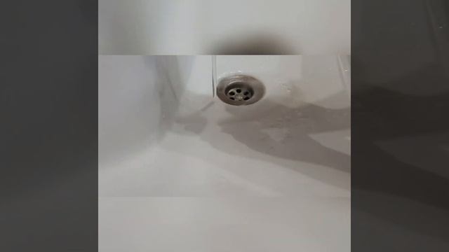 Мыло для стирки Biotrim из Гринвей отлично отстирывает сложные загрязнения на ткани смотреть онлайн