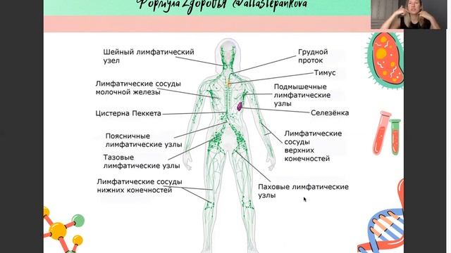 Печень, желчный, детоксикация - теория #нутрициологонлайн #здороваяпечень #проздоровье #детокс смотреть онлайн