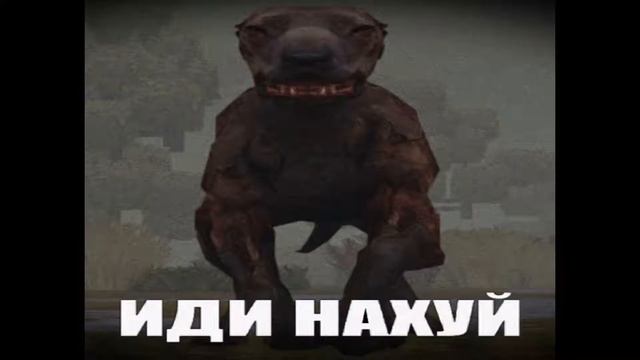 УРААА ОТС НА СТАЛКРАФТ ПОВЕЗЛО смотреть онлайн