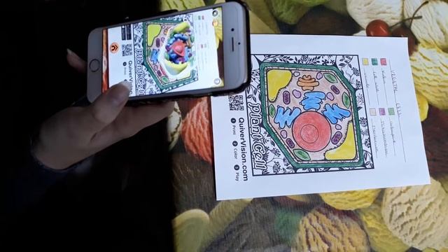 Exploring the parts of a vegetal cell with Augmented Reality! смотреть онлайн