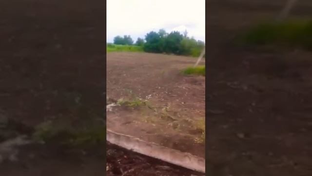 🚜МТЗ🚜82👍Сила👍 смотреть онлайн