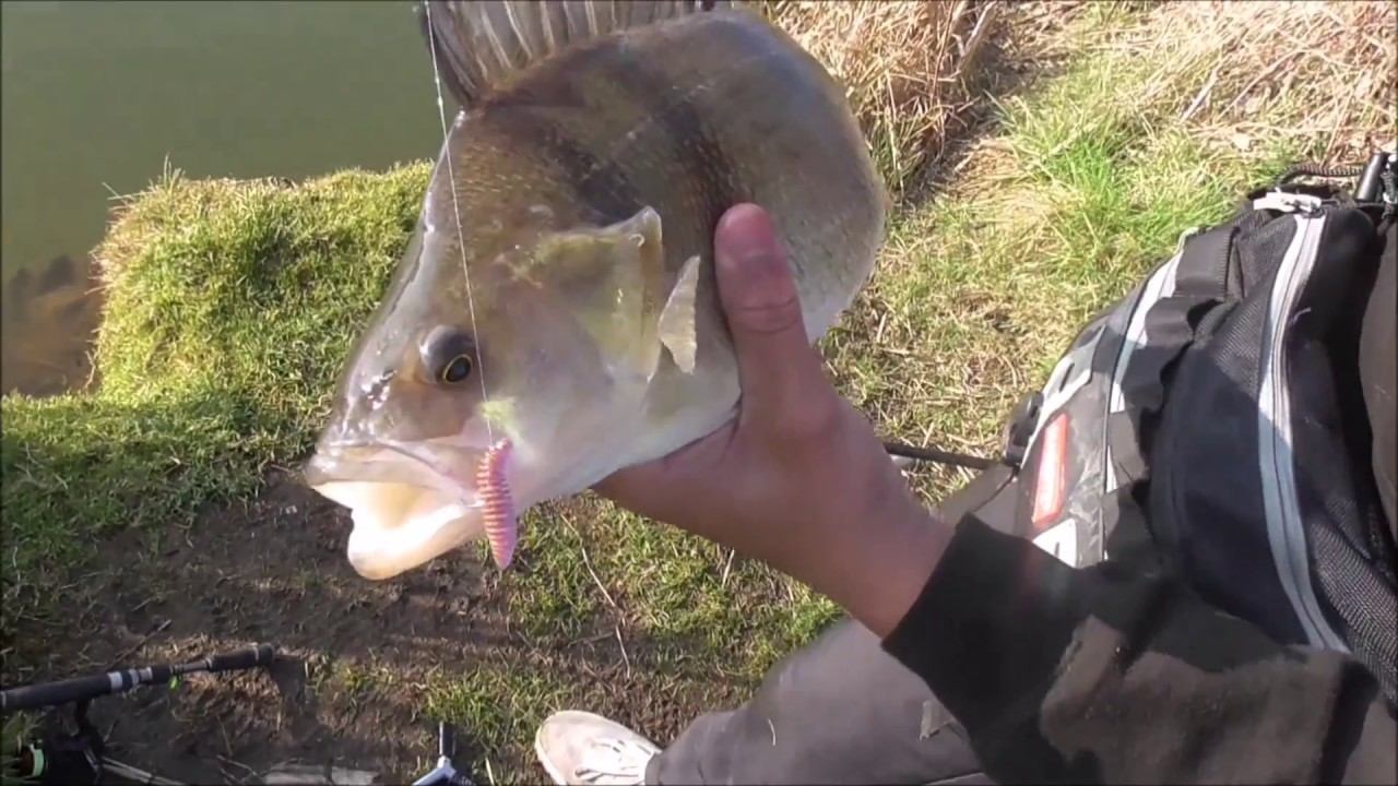 Lure Fishing with Tom Lloyd смотреть онлайн
