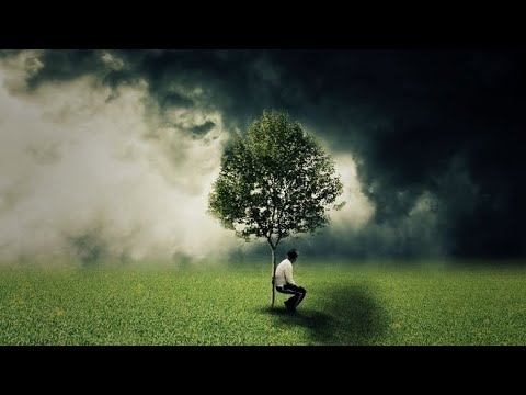Чем опасен дурак: пять законов глупости. смотреть онлайн