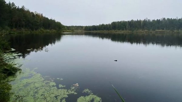 Оззи Ширет . Мари Эл 25 сентября 2022 г.￼