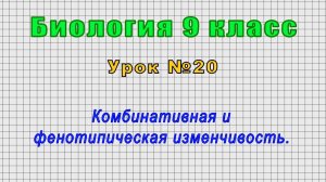 Биология 9 класс (Урок№20 - Комбинативная и фенотипическая изменчивость.)