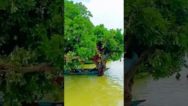 July 9, 2024 смотреть онлайн