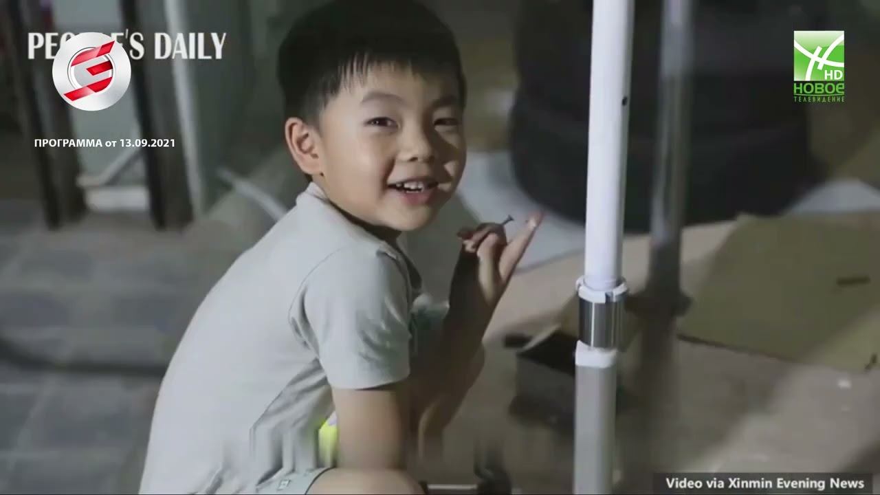 Домашняя карусель - в программе "Три Товарища" смотреть онлайн