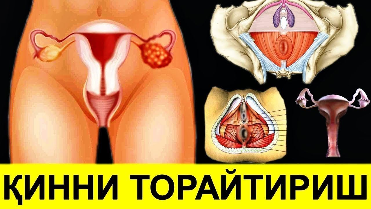 AYOLNING JINSIY AZOLARINI TORAYTIRISH OCHIQCHASIGA KO'RSATILDI смотреть онлайн