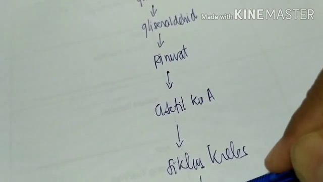 Biologi Kls 12. Keterkaitan Proses Metabolisme K. Hidrat- Lemak - Protein смотреть онлайн