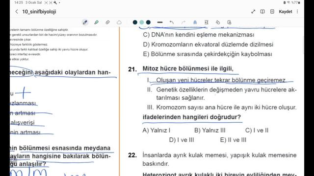 10. SINIF BİYOLOJİ 1. DÖNEM 2 . YAZILI HAZIRLIK смотреть онлайн