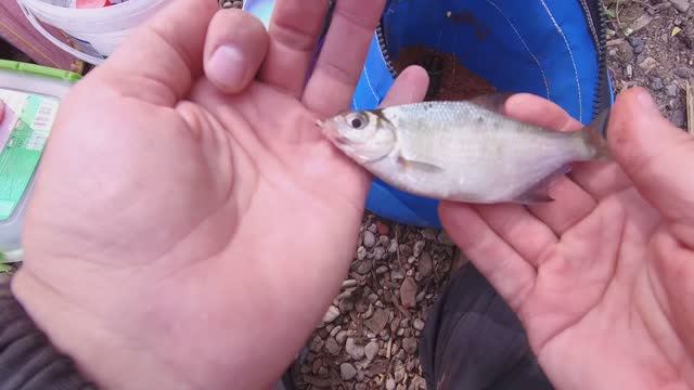 Рыбалка на реке в мае. Шторм выкинул воблер на щуку. Поставили рыбу на точку смотреть онлайн