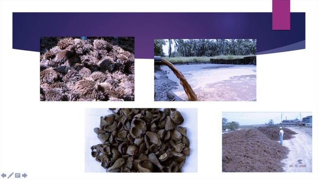 Penanganan Hasil Samping Industri Pertanian смотреть онлайн