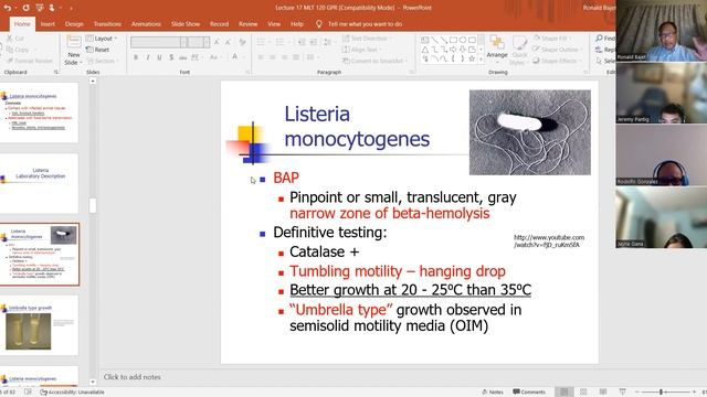 Lecture #17 Gram Positive Bacilli смотреть онлайн