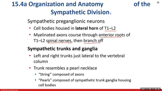 Chat Session 11: The Autonomic Nervous System (Ch15) Review смотреть онлайн