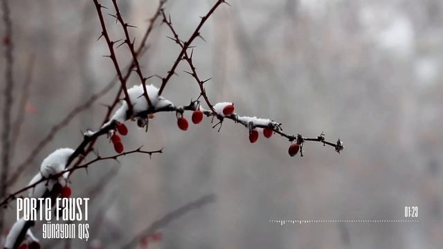 Porte Faust - Günaydın Qış (Audio) смотреть онлайн