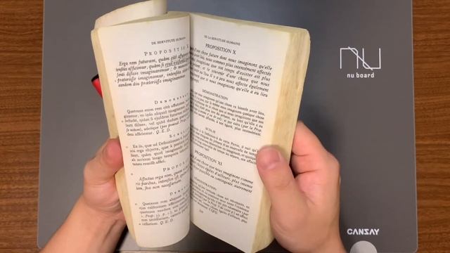 スピノザ『エチカ』を読みながらラテン語入門①「教材紹介」 смотреть онлайн