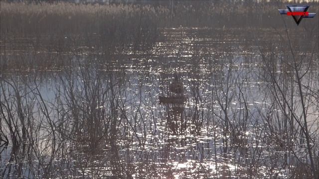 Работа подсадной утки 2 смотреть онлайн