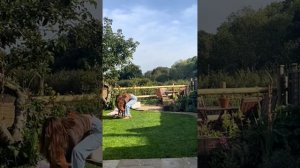 Скандинавский стиль в интерьере #бохо #ремонт #интерьер #скандинавскийстиль #интерьер #сканди #мода