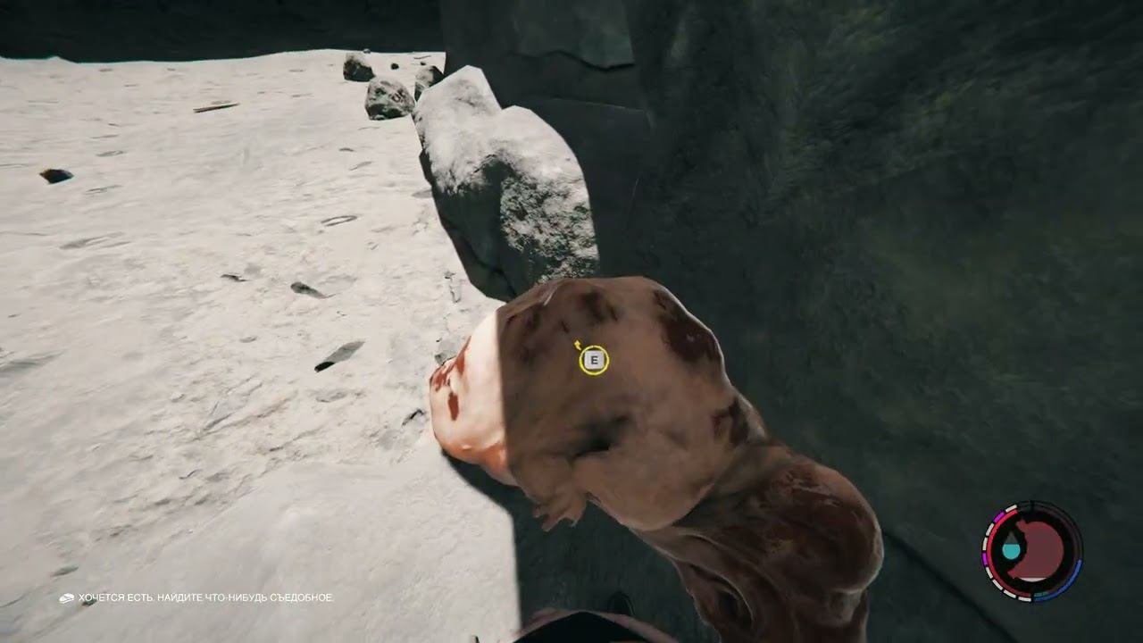 The Forest Часть 50:Passage co-p. Complexity: Survival. смотреть онлайн
