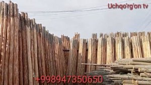 Namangan Xasanobod Bozori 2024 narxlari Dastavka besplatni. Tom yopish payti keldi,