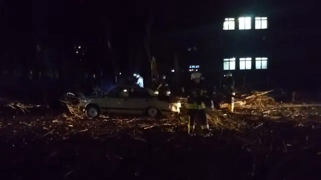 В Жёлтых Водах дерево упало на машину смотреть онлайн