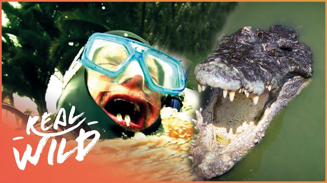 Man Just About Survives An Alligator Attack | Real Wild смотреть онлайн