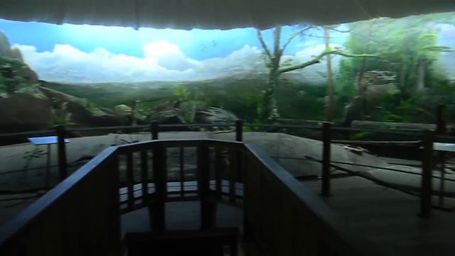 Butterfly Park Suriname Panorama смотреть онлайн
