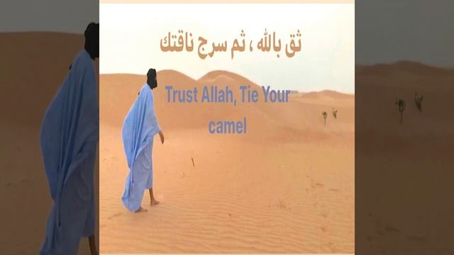 Amin смотреть онлайн