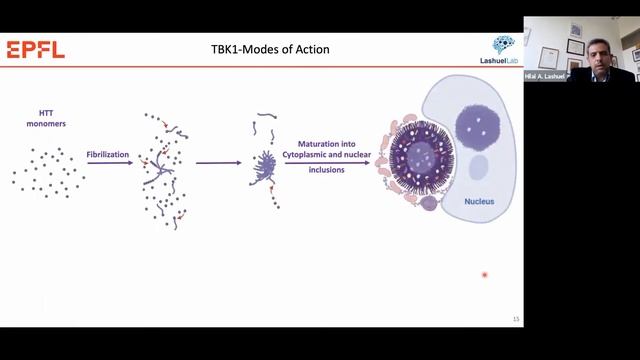 EHDN2020 - TBK1: A new player in Huntington's Disease by Hilal A. Lashuel смотреть онлайн