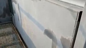 Бокс оглашения скота КРС с электрошокером