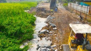 Строительство, засыпка, рядом "собиратели всего"  "помогают"