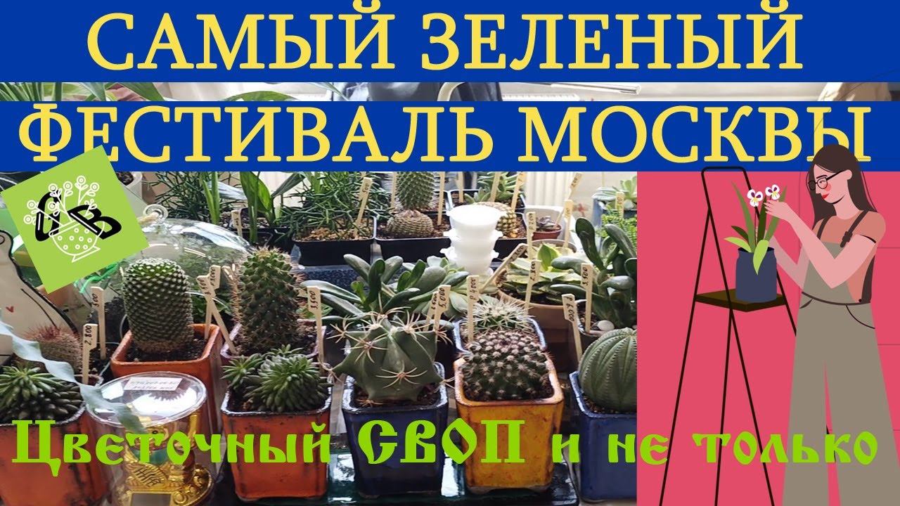 GrowBoxmarket городской фестиваль Дизайн Завод Флакон смотреть онлайн