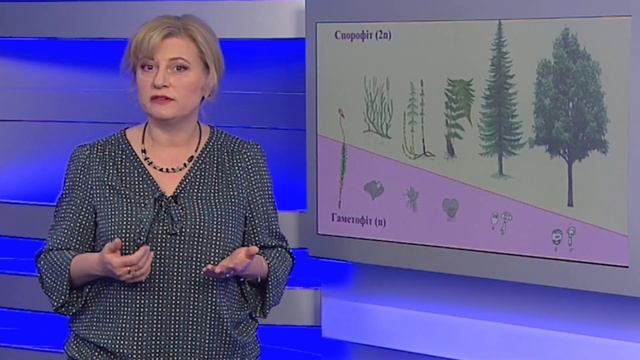 Модуль 6. Заняття 14 - Життєві цикли: їхні особливості в різних групах організмів смотреть онлайн