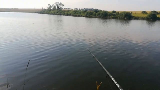 22-Диалоги о Мишане 27-28.07.2018 смотреть онлайн