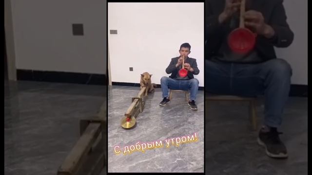 С добрым утром!!!#shorts смотреть онлайн