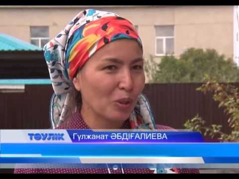 Тұрғын үйдің жертөлесі саунаға айналды смотреть онлайн