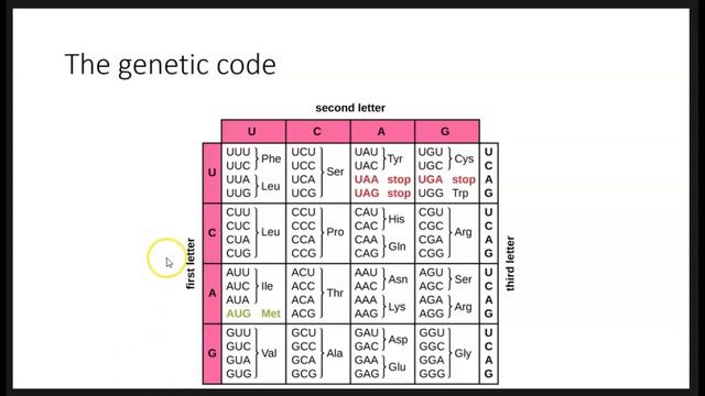 BIO163-F20 Unit 4.1 Part 3 смотреть онлайн