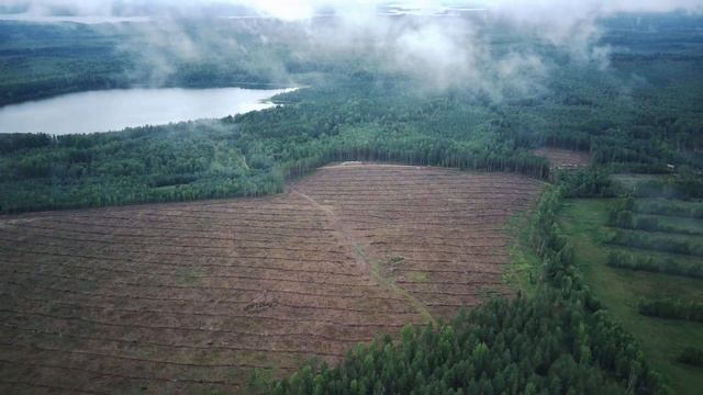 Большая вырубка леса рядом с Селигером смотреть онлайн