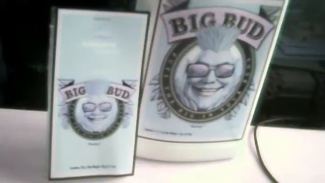 Advanced Nutrients Big Bud