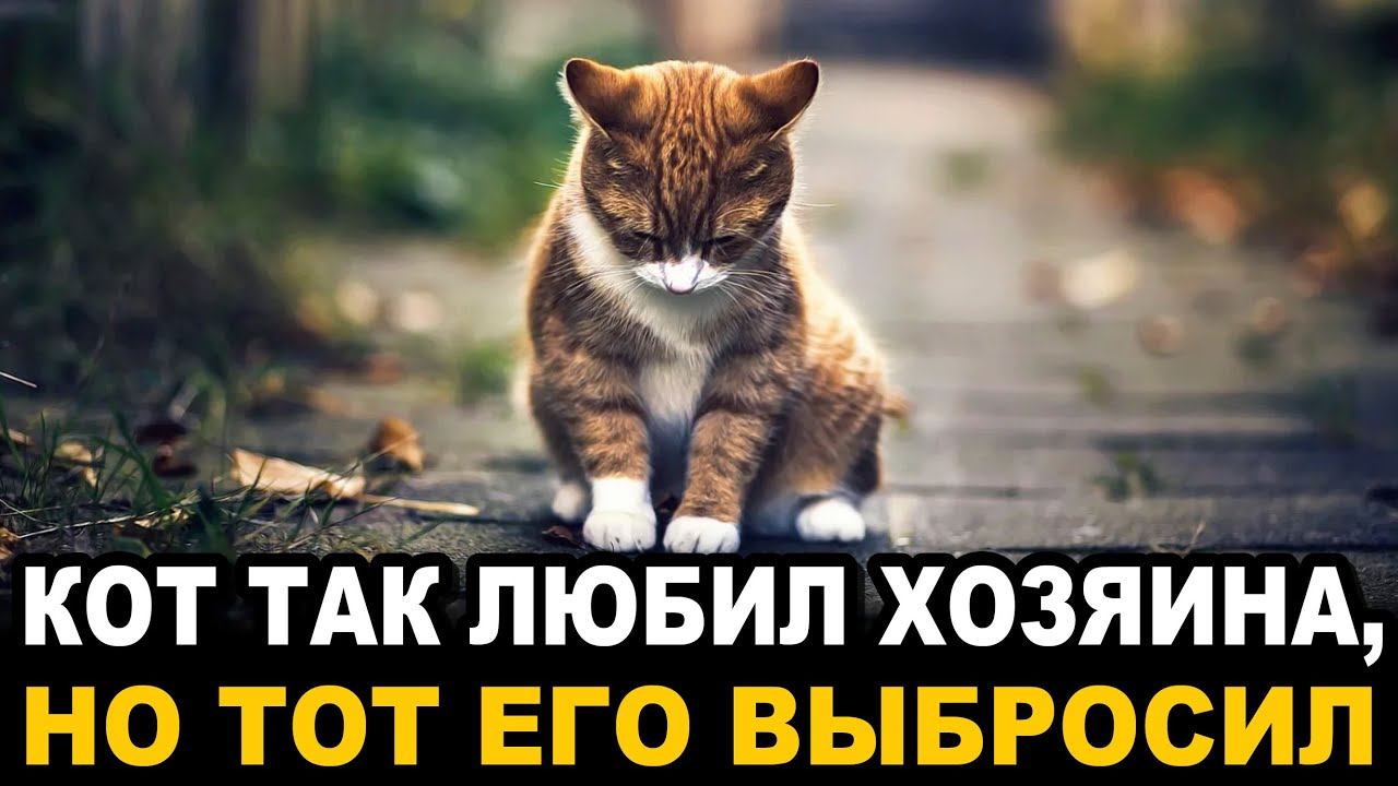 Литературная авангарда