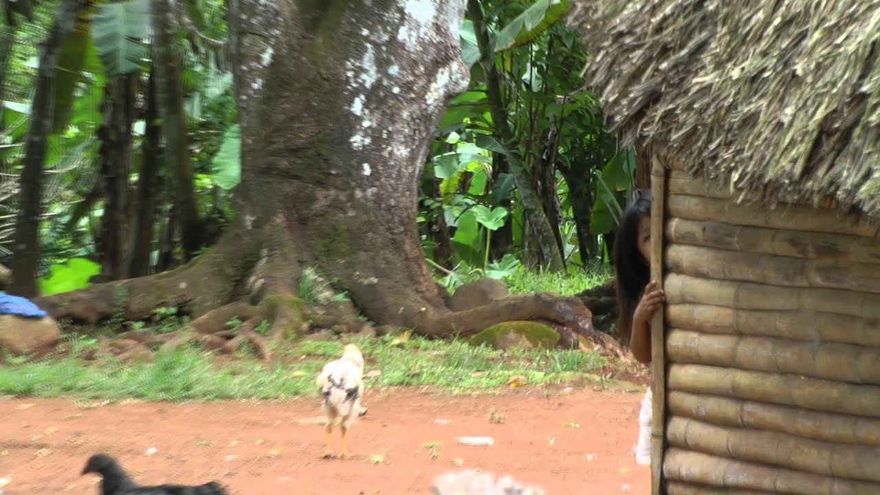 Costa Rica & Panama смотреть онлайн